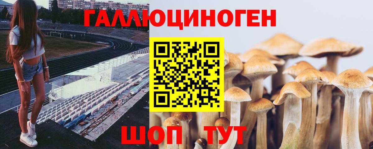 Псилоцибиновые грибы Magic Shrooms Ржев